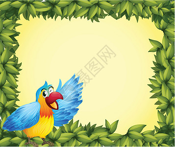 色彩多彩的鹦鹉和绿叶框图片