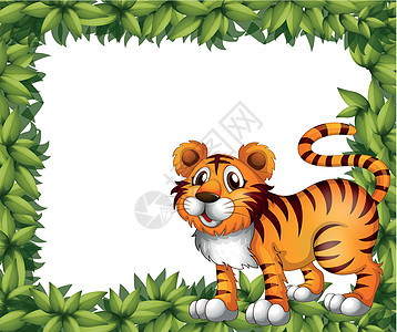 可爱老虎绿框中的老虎设计图片