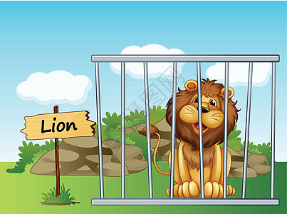 一只狮子在篱笆中图片