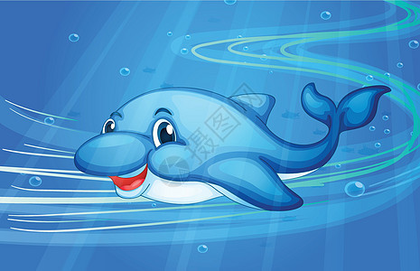 鱼游泳生物蓝色哺乳动物海洋野生动物珊瑚绘画荒野潜水图片