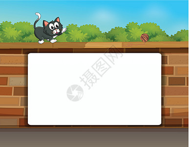 一只猫和白板广告卡通片砖块羊毛动物天空工艺橙子婴儿哺乳动物图片