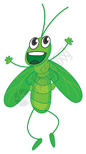 蚂蚱眼睛绿色卡通片昆虫花园野生动物白色生活荒野动物图片