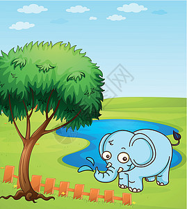 大象在水里玩图片