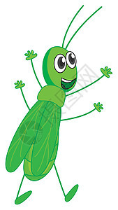 一只微笑的野生动物绿色昆虫荒野天线漏洞花园动物生物绘画图片
