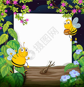 蜜蜂和白板图片