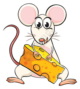 老鼠和奶酪跑步动物小吃牙齿绘画哺乳动物黄色午餐卡通片微笑图片