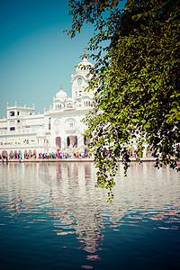Amritsar 印度旁遮普邦大人面纱反射建筑建筑学尖塔崇拜金子寺庙阁下图片