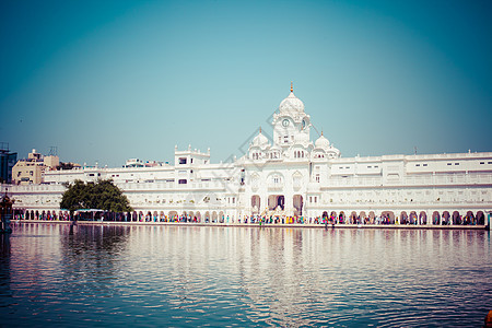 Amritsar 印度旁遮普邦神社祷告建筑学建筑纪念碑阁下寺庙旅行大人金子图片