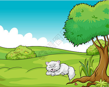猫在睡觉公园农场土地动物叶子场景哺乳动物场地休息绘画图片
