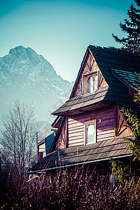 波兰Zakopane的传统抛光木屋房子乡村后院木材村庄家园婴儿床国家建筑窗户图片