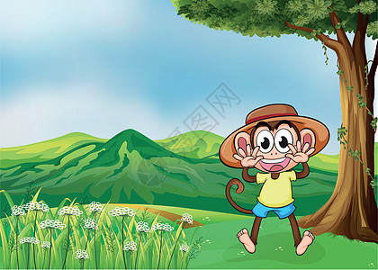 山上快乐的猴子图片