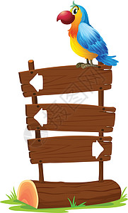 一只鸟站在木制招牌上图片