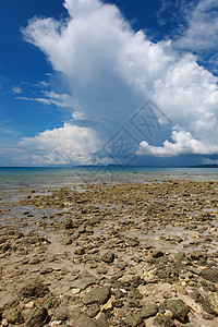 低潮 蓝色天空和白云 在珊瑚海滩 安达曼岛风景海滩假期支撑海洋珊瑚旅行热带海景晴天图片