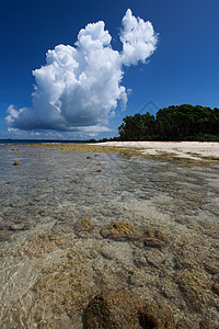 低潮 蓝色天空和白云 在珊瑚海滩 安达曼岛海岸线海景旅行天堂晴天热带反射珊瑚海洋海滩图片