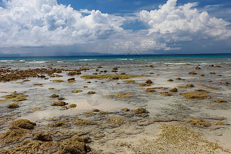 低潮 蓝色天空和白云 在珊瑚海滩 安达曼岛假期反射天堂珊瑚风景海岸线支撑晴天旅行海洋图片
