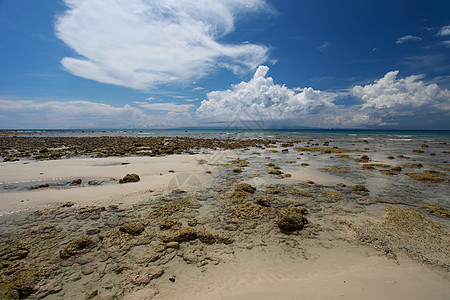 低潮 蓝色天空和白云 在珊瑚海滩 安达曼岛天堂反射旅行海景晴天热带孤独海岸线海洋支撑图片