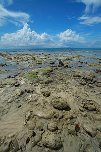 低潮 蓝色天空和白云 在珊瑚海滩 安达曼岛海岸线旅行晴天珊瑚孤独海景热带天堂海洋反射图片