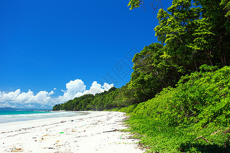 印度安达曼岛哈沃洛克岛的蓝天空和云蓝色旅行支撑椰子海洋海景热带假期棕榈吊床图片