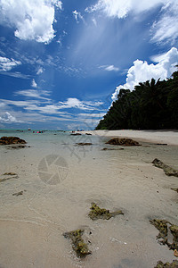 印度安达曼群岛的白云蓝天 安达曼岛海岸假期帆船海滩天堂晴天放松棕榈支撑风景图片