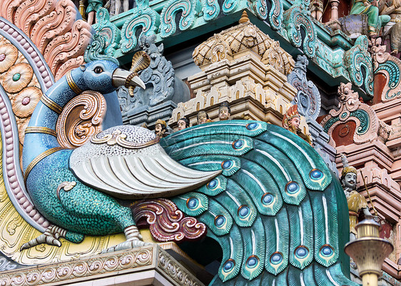 孔雀在维罗尔拉钦纳基里山庙的戈普拉姆图片