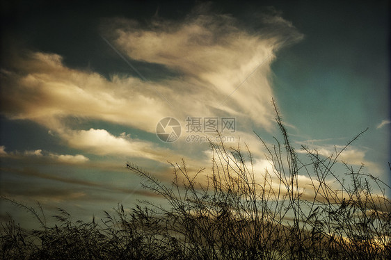 日落时云草地农业场地阳光风光季节风景色彩田园图片