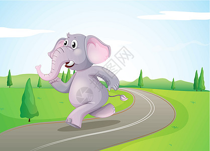 大象在路上奔跑图片