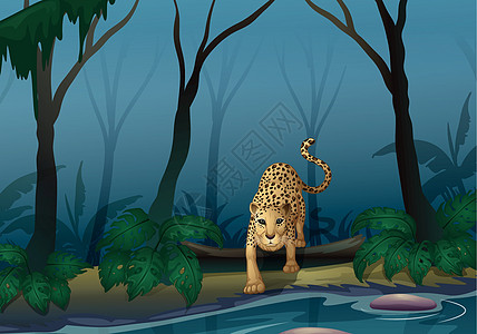 林中一只豹子 在森林中央图片