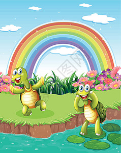 池塘里有两个玩耍的海龟 天空中有彩虹图片