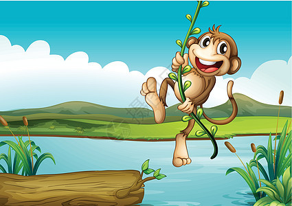 一个快乐的猴子 与松树植物玩耍图片