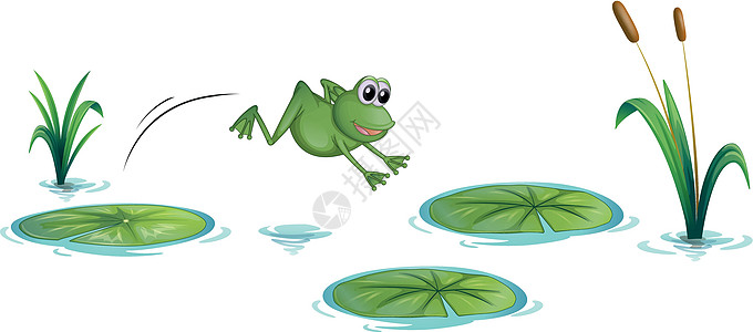 在池塘的青蛙 带水虫图片