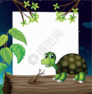 木头上方的乌龟 后面有空板子图片