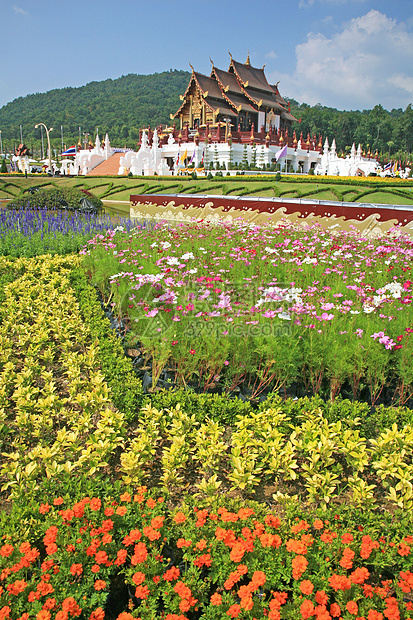 皇家馆 皇室花博览会 清迈 T建筑学奢华植物群旅行文化假期地标纪念碑热带池塘图片