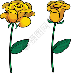 两朵可爱的花白色玫瑰花梗花蜜树叶风格花萼绿色黄色绘画图片
