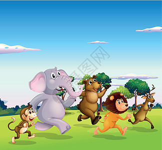 5个野生动物在跑图片