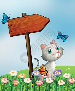 一只有三只蝴蝶的猫 在木箭板旁图片