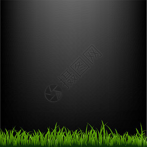 黑色带草的黑背景图片