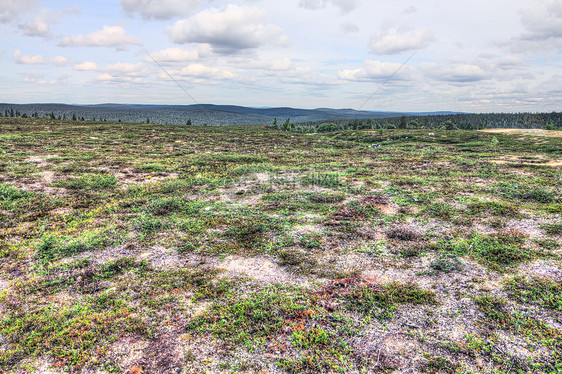 Tundra 景观国家森林全景人行道地面地平线爬坡石头高地公园图片