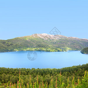 挪威北部地貌景观松树环境山脉蓝色石头顶峰风景森林岩石港口图片