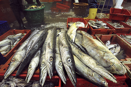 泰国Talaythai海鲜鱼市场食物健康粉色生活红色低音销售店铺背景图片