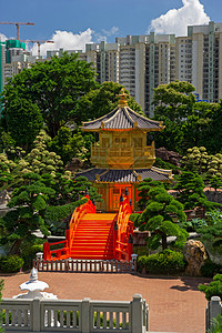 香港南里安花园的大桥和圣殿旅行公园金子寺庙宝塔文化摩天大楼建筑历史池塘图片