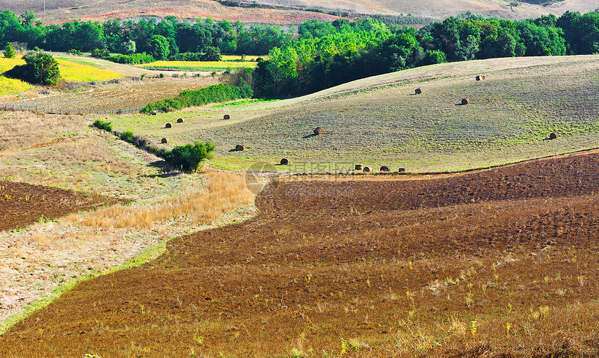 海巴勒斯干草保释国家农场生长农业草原草地收成稻草图片
