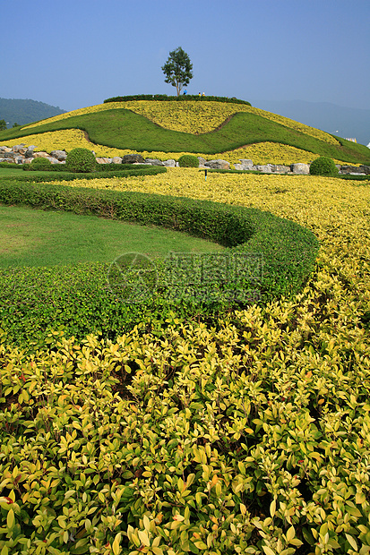 泰国清迈皇家植物博览会地标历史艺术反射假期文化池塘花园贵族旅游图片