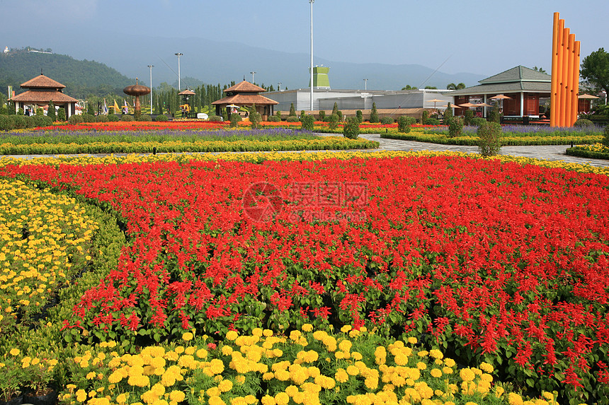 泰国清迈皇家植物博览会建筑学反射植物群旅游地标花园热带艺术历史贵族图片