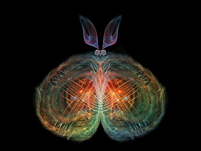 蝴蝶概念装饰品昆虫触角渲染漏洞生物学科学几何学设计想像力图片