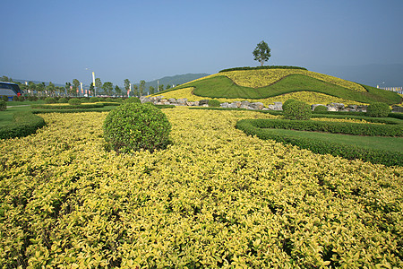 泰国清迈皇家植物博览会地标建筑旅游反射假期奢华热带植物群艺术文化图片