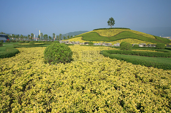 泰国清迈皇家植物博览会地标建筑旅游反射假期奢华热带植物群艺术文化图片