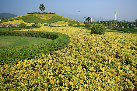 泰国清迈皇家植物博览会艺术旅行反射寺庙建筑学假期纪念碑奢华建筑旅游图片