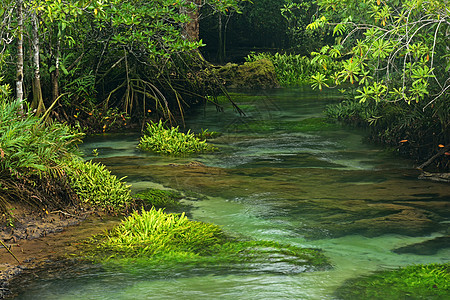 泰国克拉比Tha pom自然和水晶溪流 泰国克拉比蓝色水疗水池甲米气泡森林沼泽瀑布艺术湿地图片