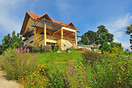 山上黄色经典房子院子建筑历史性住宅花朵财产卵石家庭草地大厦图片