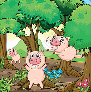三头猪在森林里玩耍图片